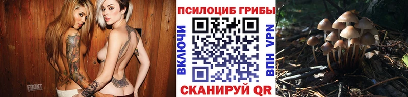 купить наркоту  Ухта  Псилоцибиновые грибы Psilocybe 