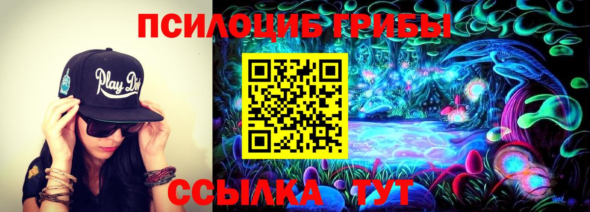 Галлюциногенные грибы прущие грибы Ухта