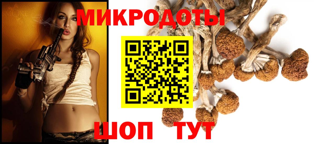 Ухта  Галлюциногенные грибы Cubensis  Вход с VPN  Псилоцибиновые грибы Psilocybe 