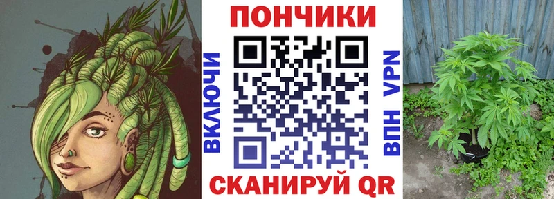 купить   Ухта  Канабис сатива 